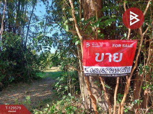 ขายที่ดิน เนื้อที่ 7 ไร่ 2 งาน 20 ตร.วา นาข่า อุดรธานี