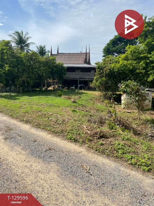 ขายที่ดินบ้าน 3 งาน 56 ตร.วา ทำเลใกล้แม่น้ำเพชรบุรี บรรยากาศบ้านสวน ใกล้แหล่งท่องเที่ยว 