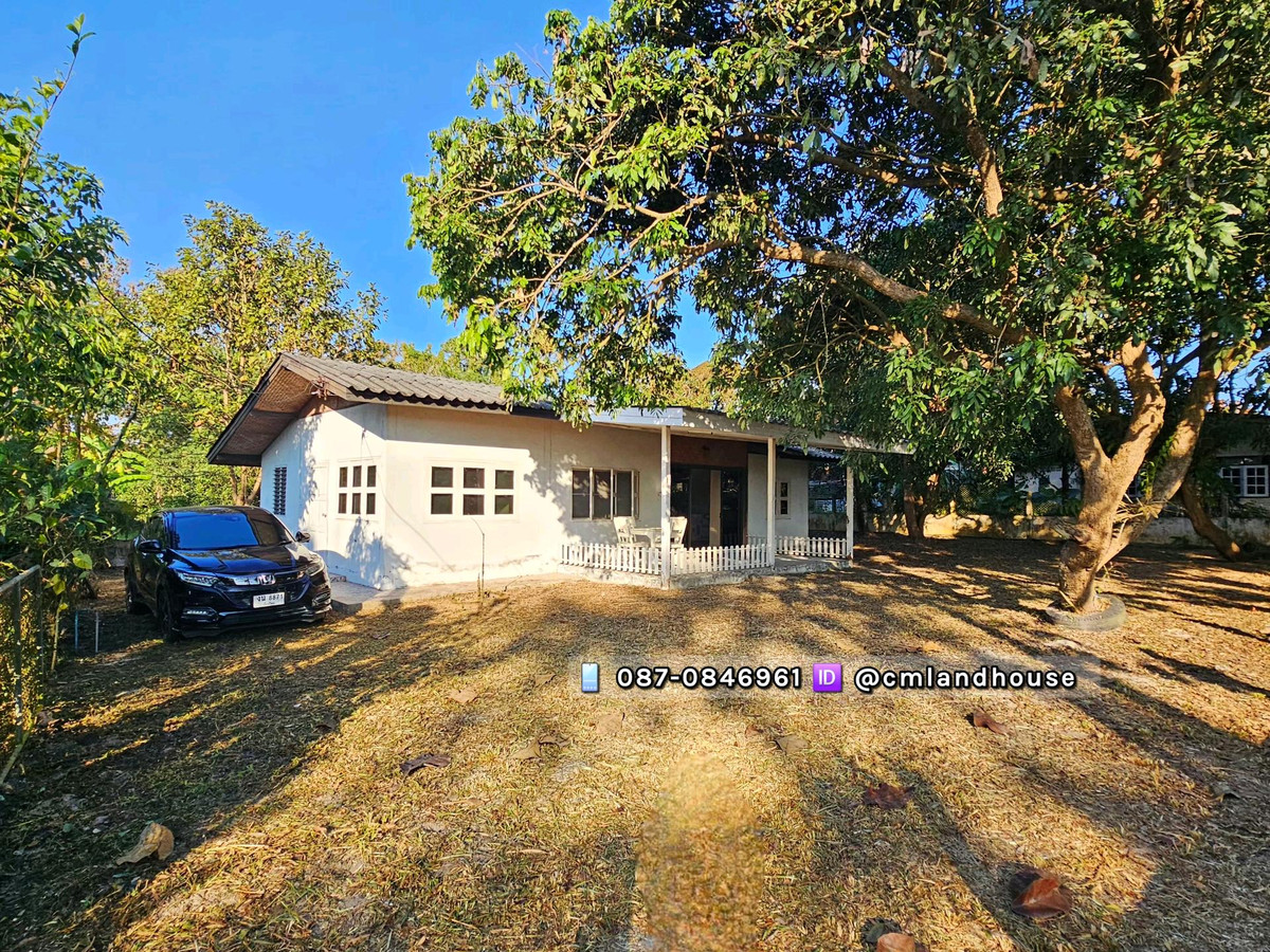 บ้านสวน 135 ตรว. ใกล้ถนนโชตนา 600 ม. ใกล้วัดร่ำเปิง ต.ขี้เหล็ก อ.แม่แตง ก่อนถึงม่อนระมิงค์ ก่อนถึงแยกแม่มาลัย-ปาย