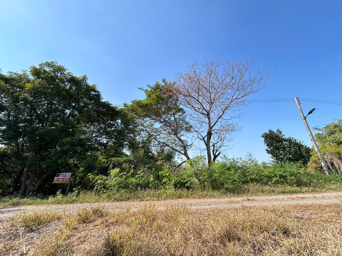 Very cheap!! Land for sale 200 sq m, Soi Bang Toei 3, Pathum Thani. – รูปที่ 3