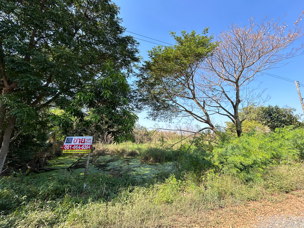 Very cheap!! Land for sale 200 sq m, Soi Bang Toei 3, Pathum Thani. Very cheap!! Land for sale 200 sq m, Soi Bang Toei 3, Pathum Thani.