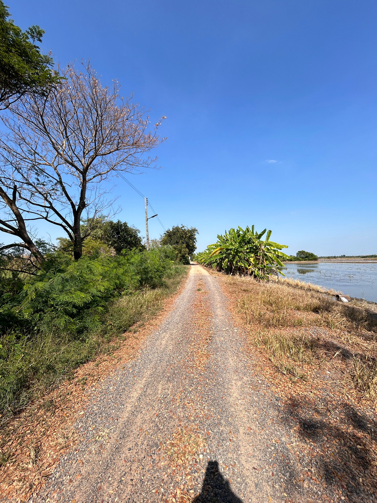 Very cheap!! Land for sale 200 sq m, Soi Bang Toei 3, Pathum Thani. – รูปที่ 4