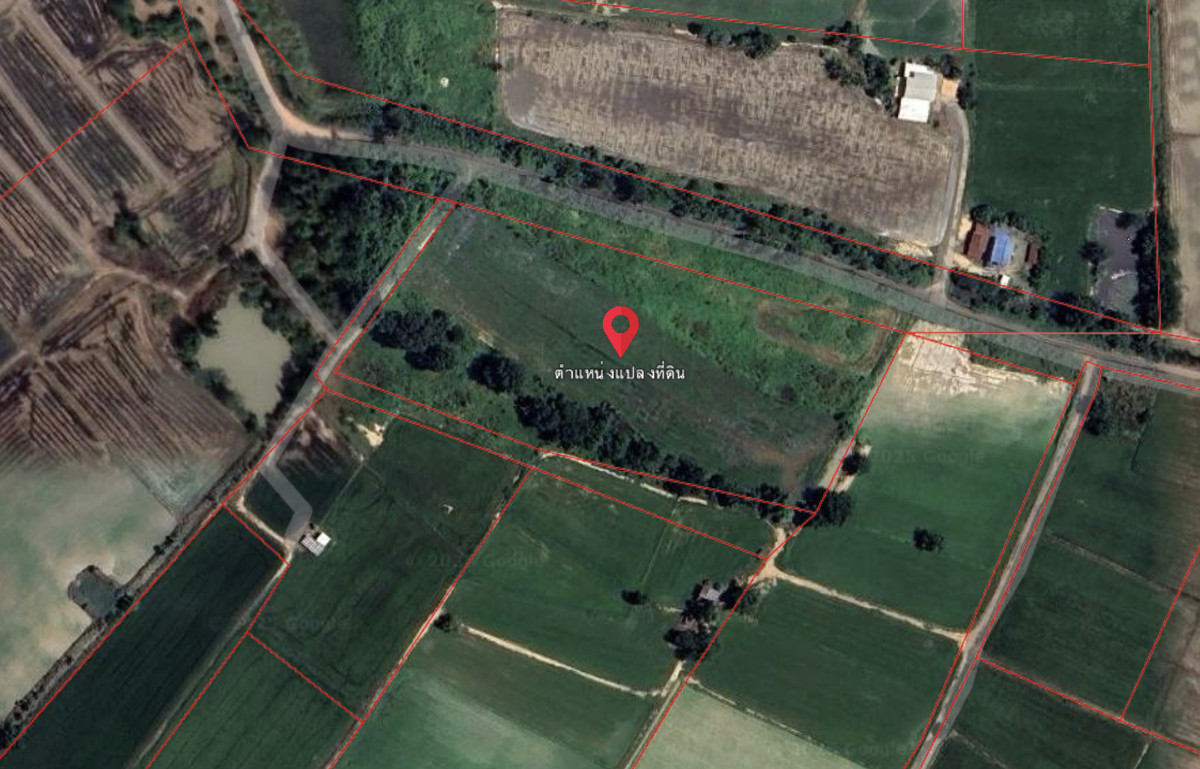 Land for Sale: 11 Rai 2 Ngan15 sq.w in Bueng Na Rang District, Phichit Land for Sale: 11 Rai 2 Ngan15 sq.w in Bueng Na Rang District, Phichit