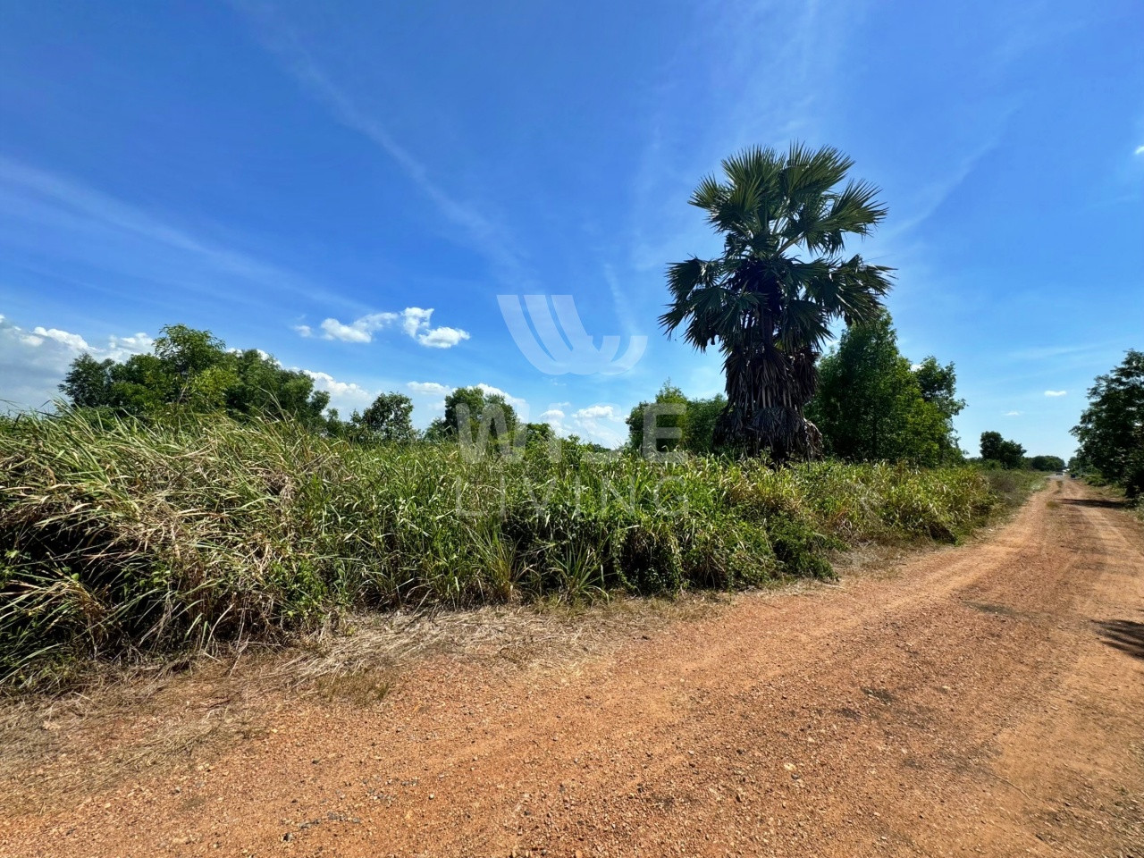 Urgent! Land for Sale Khlong 8 Pathum Thani, 2 Rai, Ideal for Investment &amp; Development – รูปที่ 2