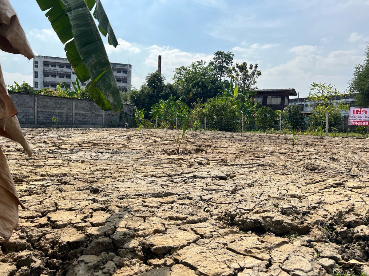 Land for rent 107 sq m., square shape. Width 20 meters Soi Phetkasem 108, Intersection 3 เหมาะทำเนอรส์ซิ่งโฮม clinic, store, storage Land for rent 107 sq m., square shape. Width 20 meters Soi Phetkasem 108, Intersection 3 เหมาะทำเนอรส์ซิ่งโฮม clinic, store, storage