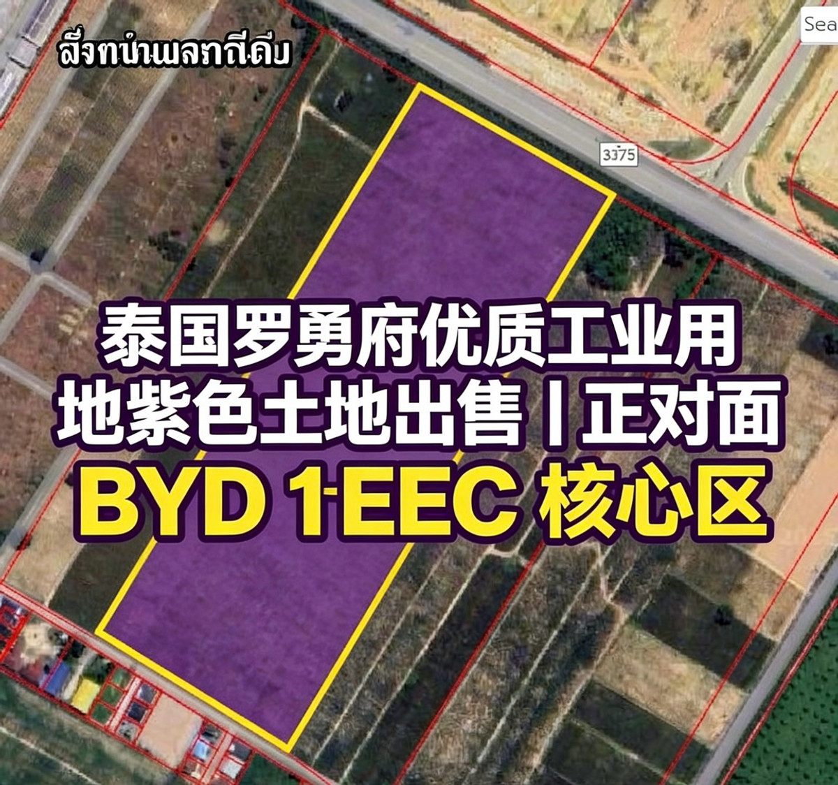 Industrial Land for Sale – Rayong EEC (Opposite BYD) purple land Industrial Land for Sale – Rayong EEC (Opposite BYD) purple land