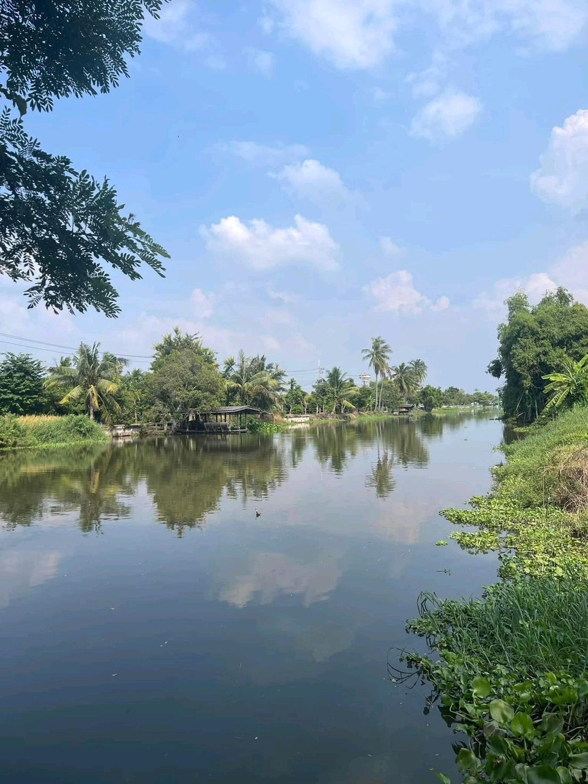 Land for sale next to Maha Sawat Canal, Phutthamonthon District, Nakhon Pathom Province. Land for sale next to Maha Sawat Canal, Phutthamonthon District, Nakhon Pathom Province.