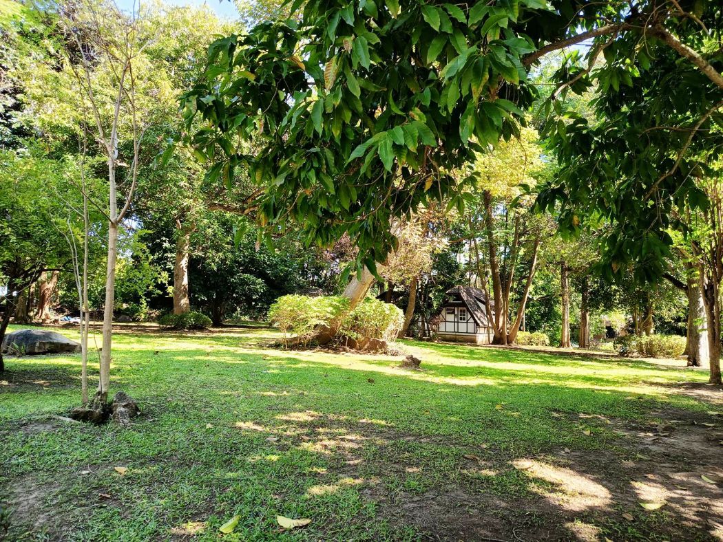 ขาย ที่ดิน ทำเลมาแรงบ้านพักตากอากาศ 209 ตร.วา ติดคลองมวกเหล็ก ใกล้บ้านพักเดลี่โฮม ปากช่อง. – รูปที่ 2