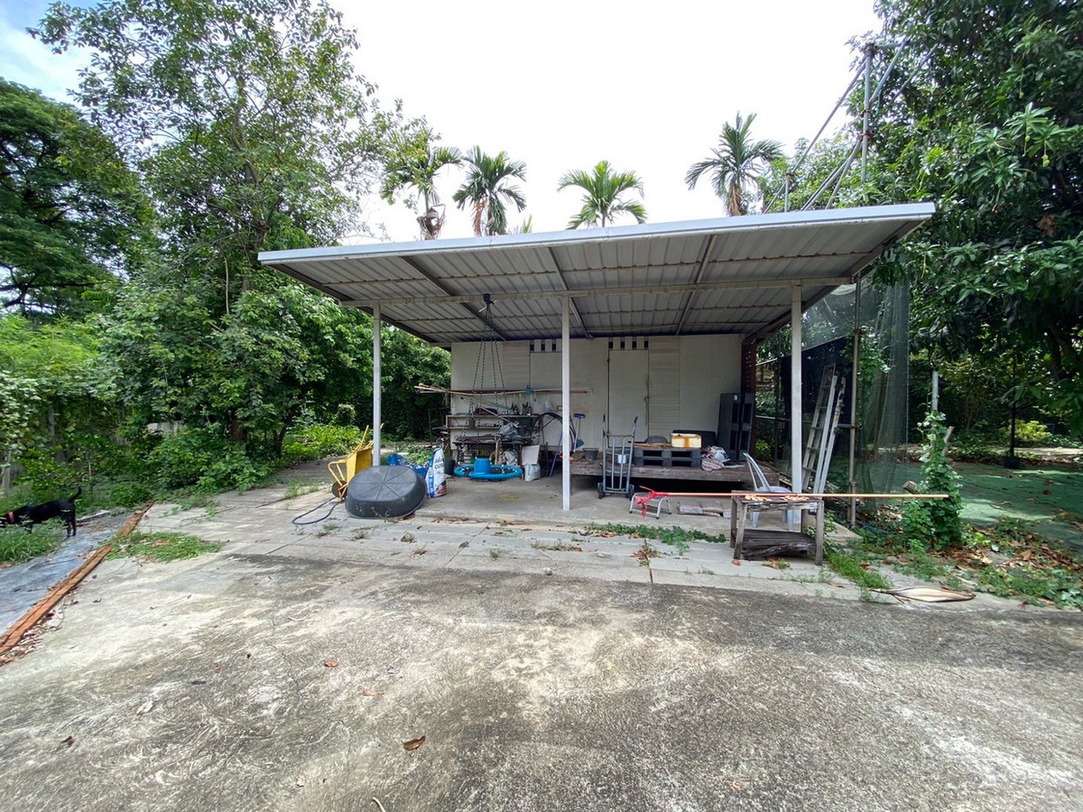 ขาย/เช่า ที่ดิน 800 ตรว. พร้อมสิ่งปลูกสร้าง รามอินทรา 115 – รูปที่ 4