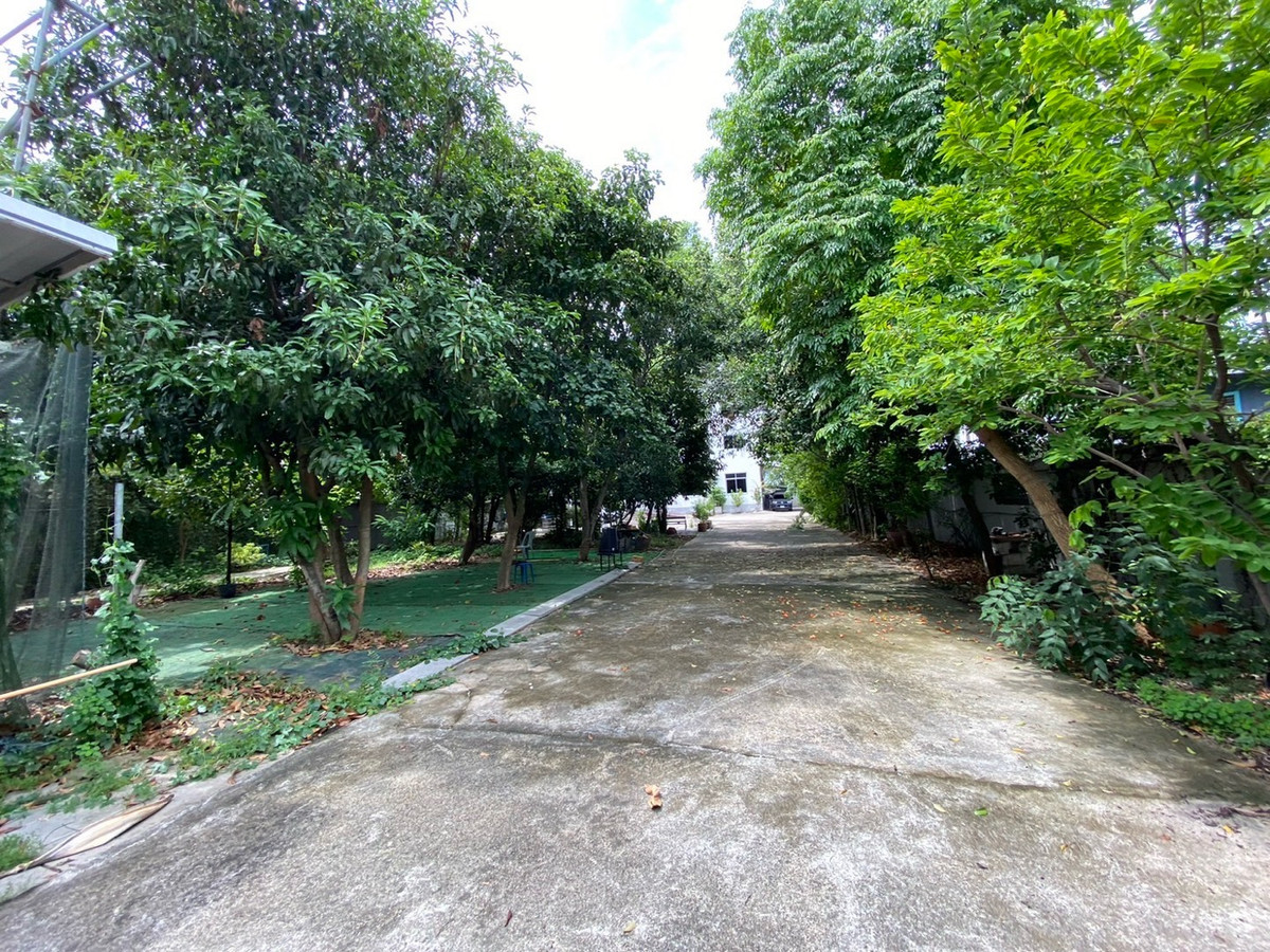 ขาย/เช่า ที่ดิน 800 ตรว. พร้อมสิ่งปลูกสร้าง รามอินทรา 115 – รูปที่ 3