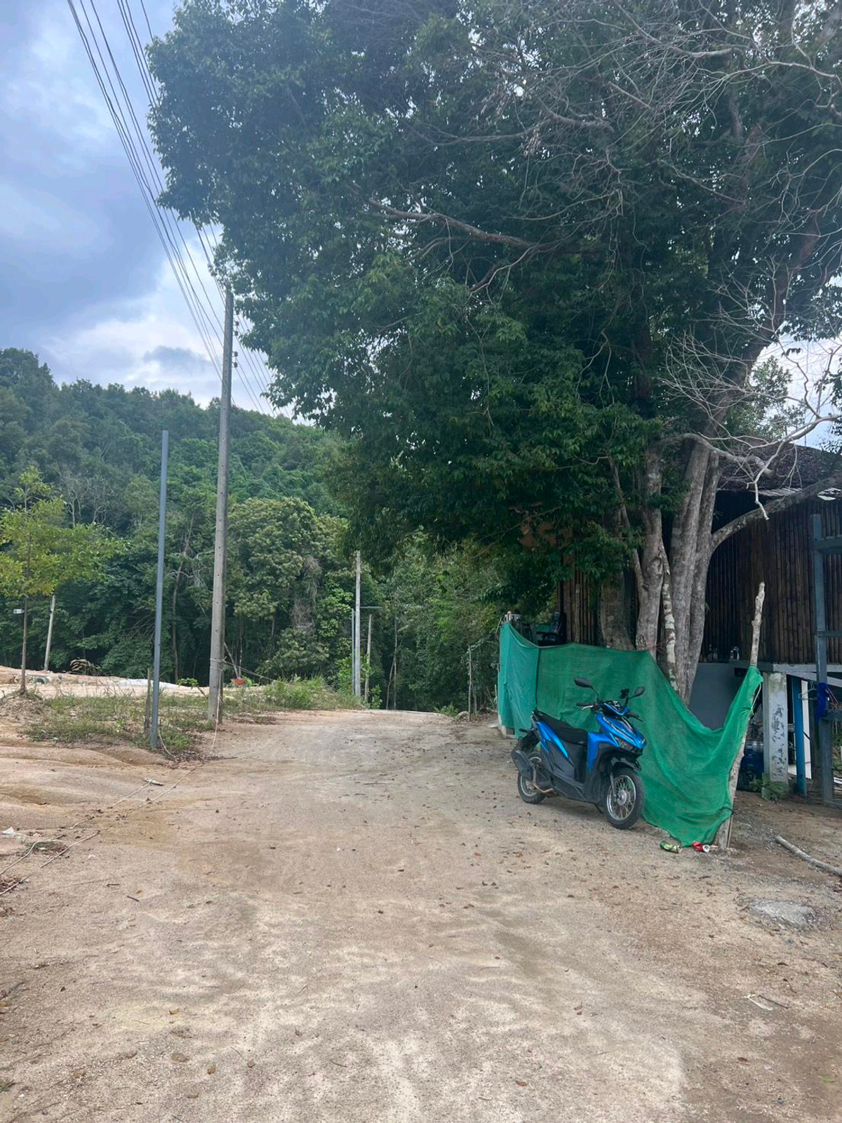 Land for sale, Koh Phangan – รูปที่ 3