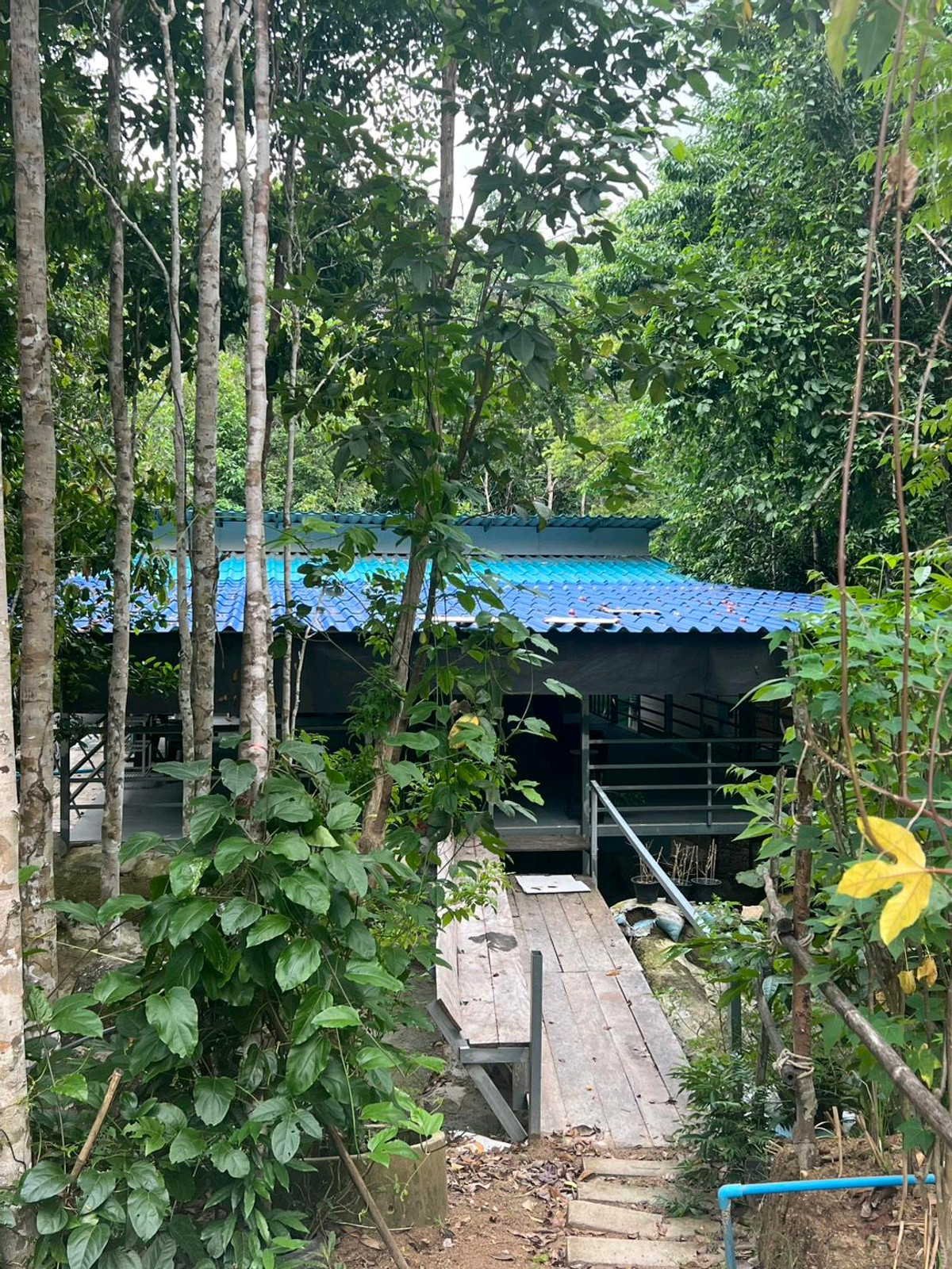 Land for sale, Koh Phangan – รูปที่ 4