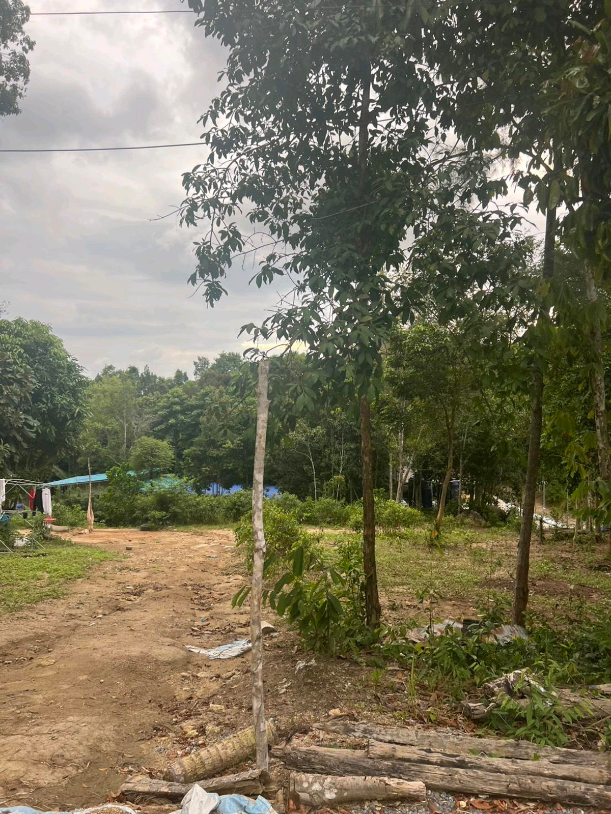 Land for sale, Koh Phangan – รูปที่ 2