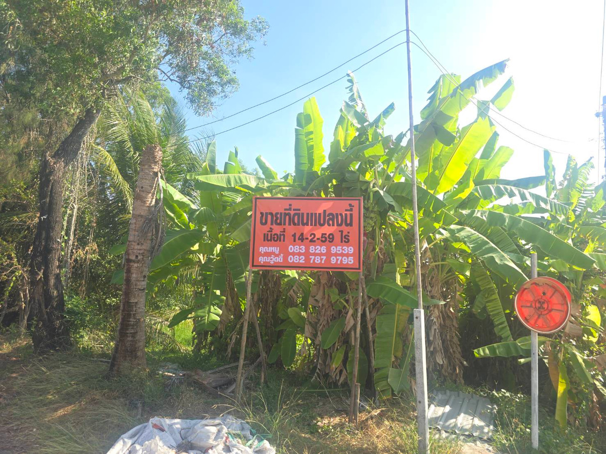 ขายที่ดินเปล่า บางน้ำเปรี้ยว ฉะเชิงเทรา ขายที่ดินเปล่า บางน้ำเปรี้ยว ฉะเชิงเทรา