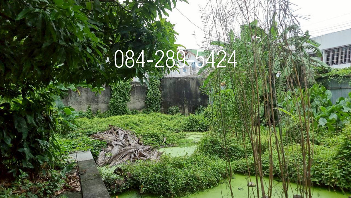 ขาย ที่ดิน 64 ตารางวา ซอยเย็นจิต 4 ถนนจันทน์ 24 สาทร-บางรัก รหัสทรัพย์ 03-091 – รูปที่ 4