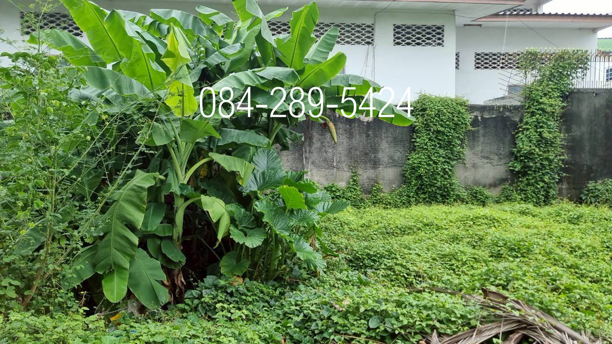 ขาย ที่ดิน 64 ตารางวา ซอยเย็นจิต 4 ถนนจันทน์ 24 สาทร-บางรัก รหัสทรัพย์ 03-091 – รูปที่ 3