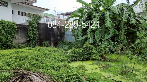 For sales , Land area 64 square wah, beside CPF, Soi Yenchit 4, Chan 24 Road, Sathorn - Bangrak , Property code 03-091