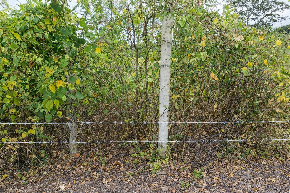 Land for sale in Sriracha, Chonburi, orange layout, in the heart of the community,  sells it himself. Suitable for developing townhome-low-rise condo projects. – รูปที่ 3