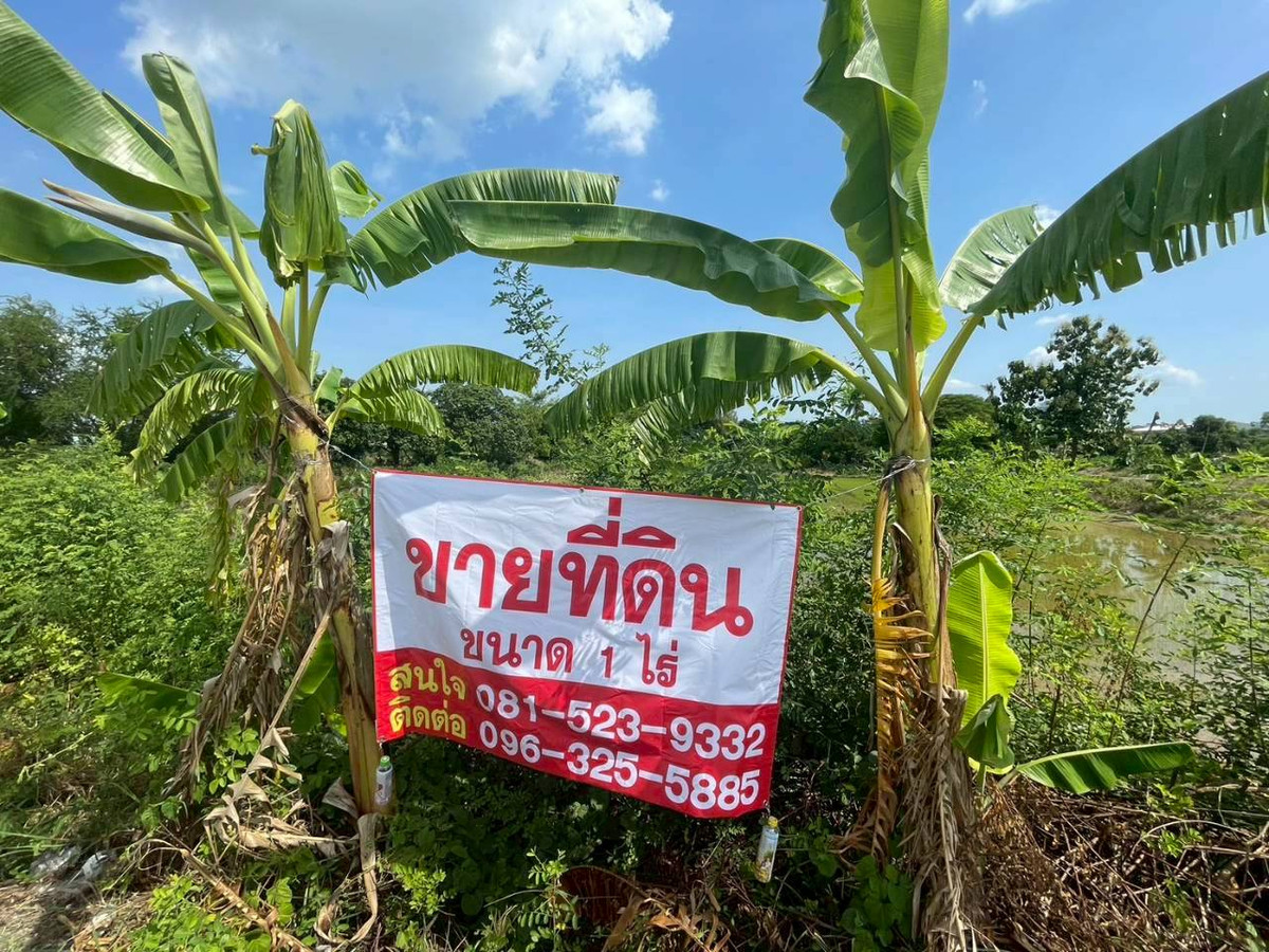 Beautiful vacant land for sale, next to the main road, near Central Westgate department store. Beautiful vacant land for sale, next to the main road, near Central Westgate department store.