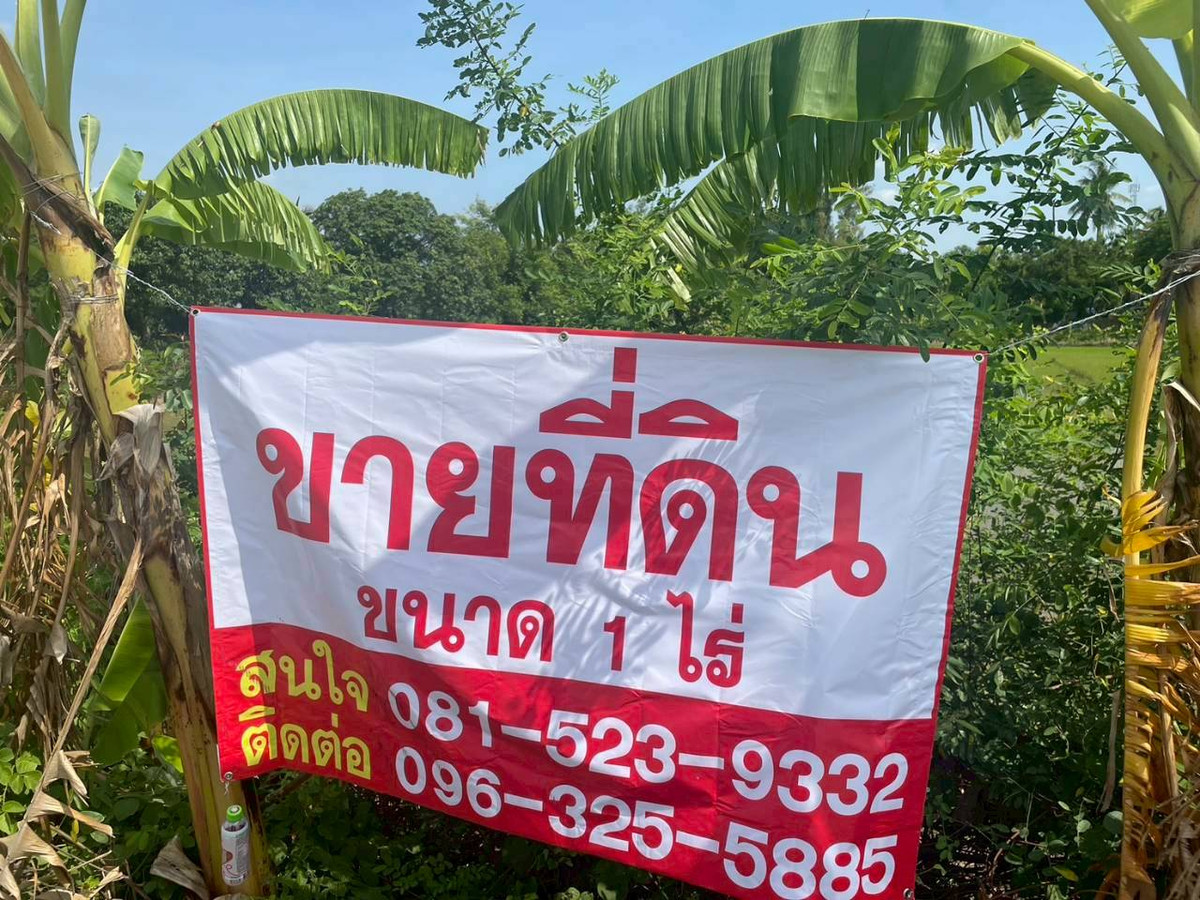 ขายที่ดินเปล่าสวยๆ ติดถนนหลัก ใกล้ห้างเซ็นทรัล เวสต์เกต – รูปที่ 2