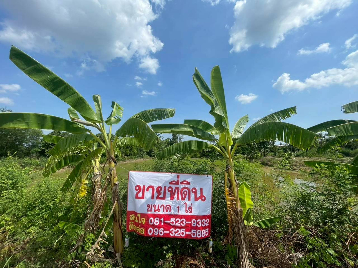 ขายที่ดินเปล่าสวยๆ ติดถนนหลัก ใกล้ห้างเซ็นทรัล เวสต์เกต – รูปที่ 4