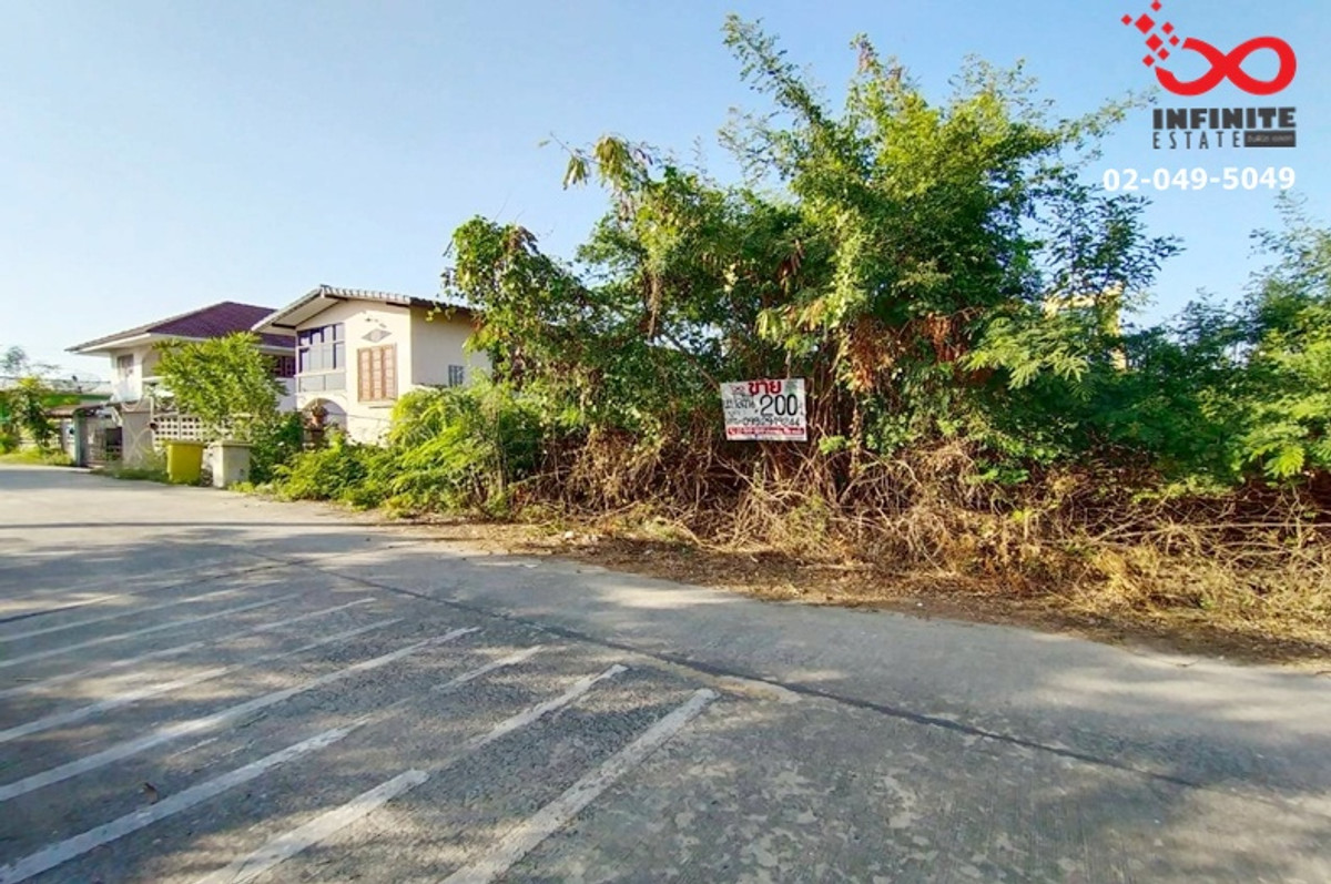 ขายที่ดิน 200 ตรว. ถนน 340 บางบัวทอง - สุพรรณบุรี  แปลงสวย ใกล้ถนนหลัก  – รูปที่ 4