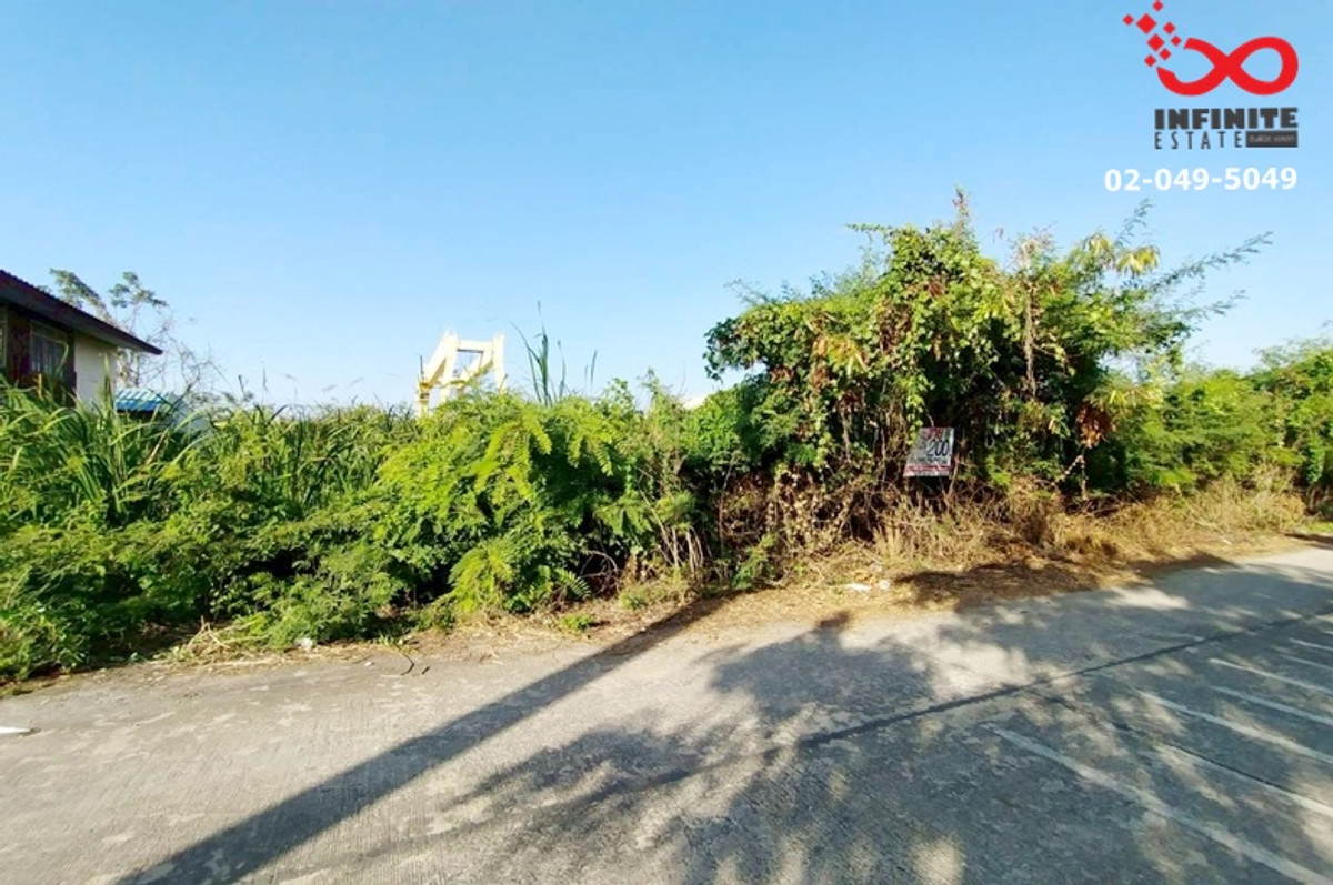 ขายที่ดิน 200 ตรว. ถนน 340 บางบัวทอง - สุพรรณบุรี  แปลงสวย ใกล้ถนนหลัก  – รูปที่ 3