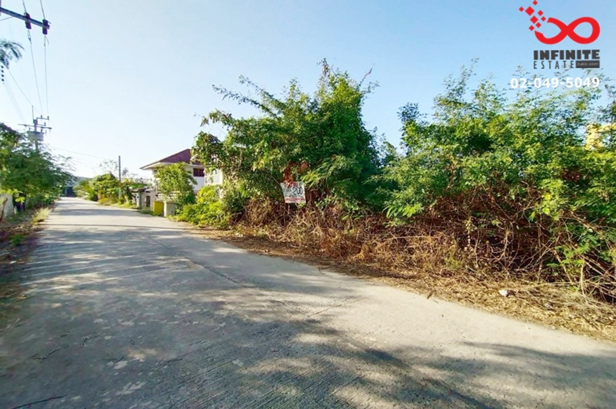 ขายที่ดิน 200 ตรว. ถนน 340 บางบัวทอง - สุพรรณบุรี  แปลงสวย ใกล้ถนนหลัก  – รูปที่ 2