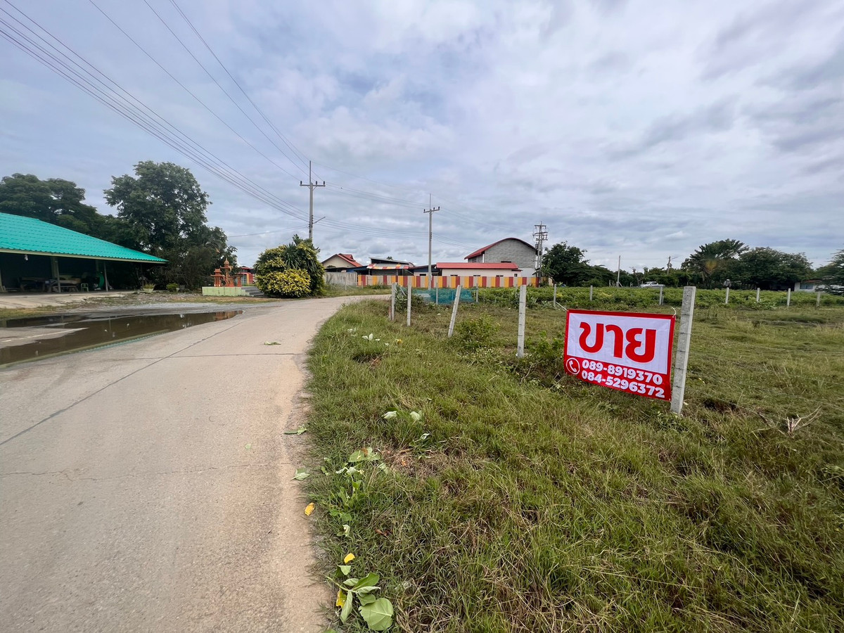 ขายที่ดินสวยแถวนครปฐม 1 ไร่ 1งาน (500 ตร.วา) ราคา 2.09 ล้านบาท ใกล้กรุงเทพ – รูปที่ 3