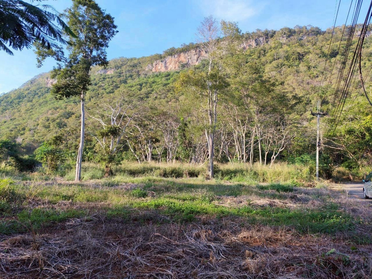 Freehold Land for Sale in Khao Yai on Thanarat Road with Mountain Views on Three Sides