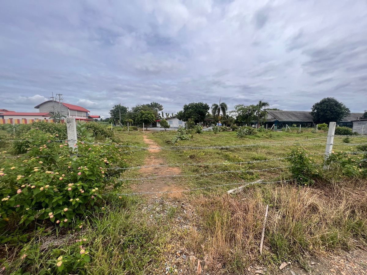 ขายที่ดินสวยแถวนครปฐม 2 งาน (200 ตร.วา) ราคา 885,000 บาท – รูปที่ 3