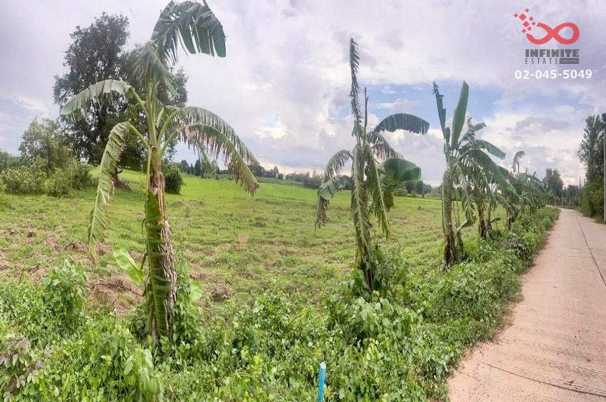 ขายที่ดิน 5-2-15 ไร่ ตำบลพลกรัง นครราชสีมา ราคาถูก ใกล้วัดบ้านบึงตะโก  – รูปที่ 2