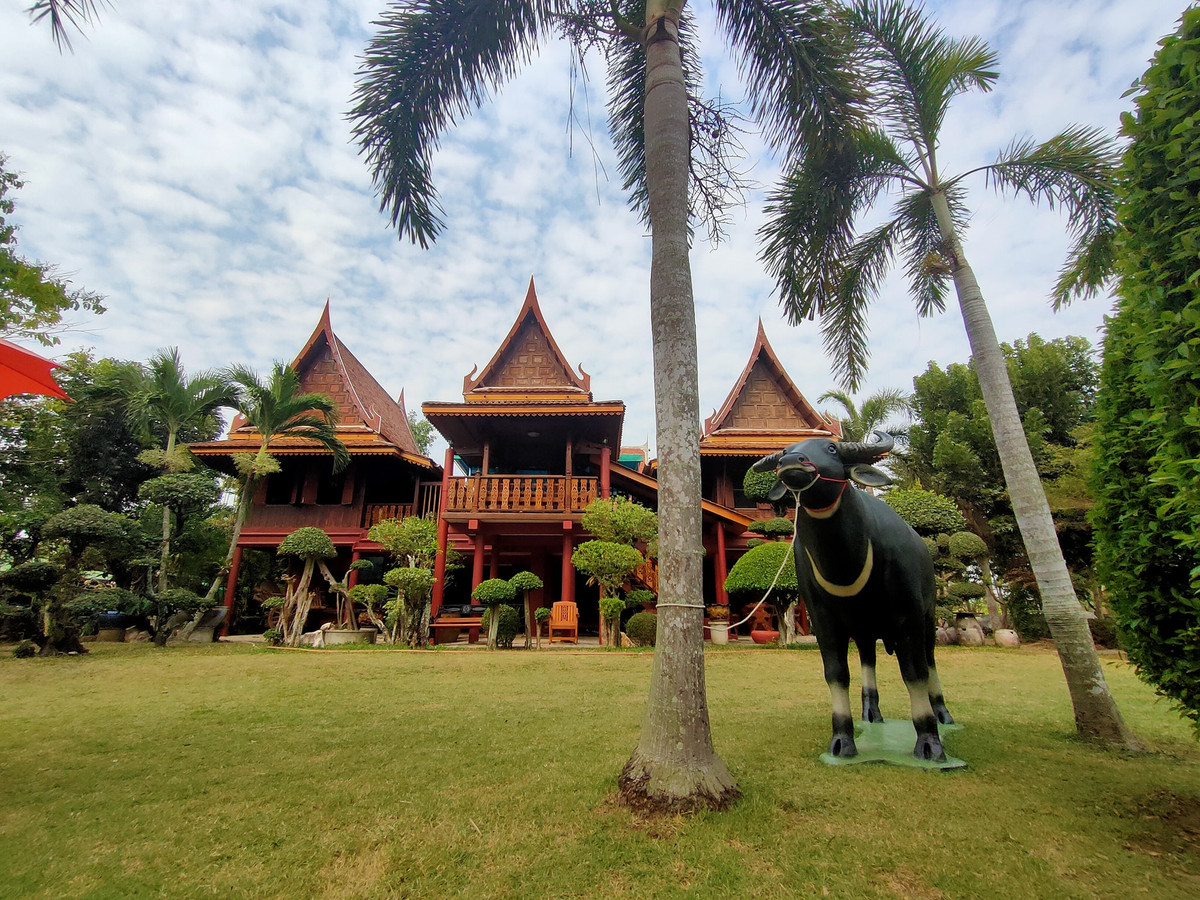 🌿 ขายที่ดินพร้อมบ้านเรือนไทย “ทำเลทองริมน้ำบางปะกง“  – รูปที่ 3