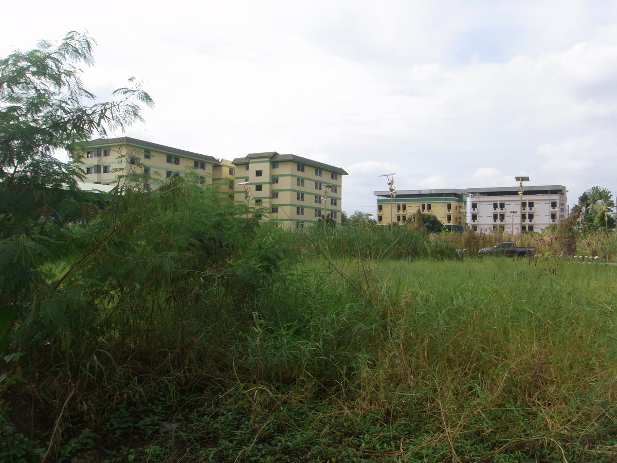 Land 100 square wah, Soi King Kaew 64, can be used as a warehouse or accommodation. Land 100 square wah, Soi King Kaew 64, can be used as a warehouse or accommodation.