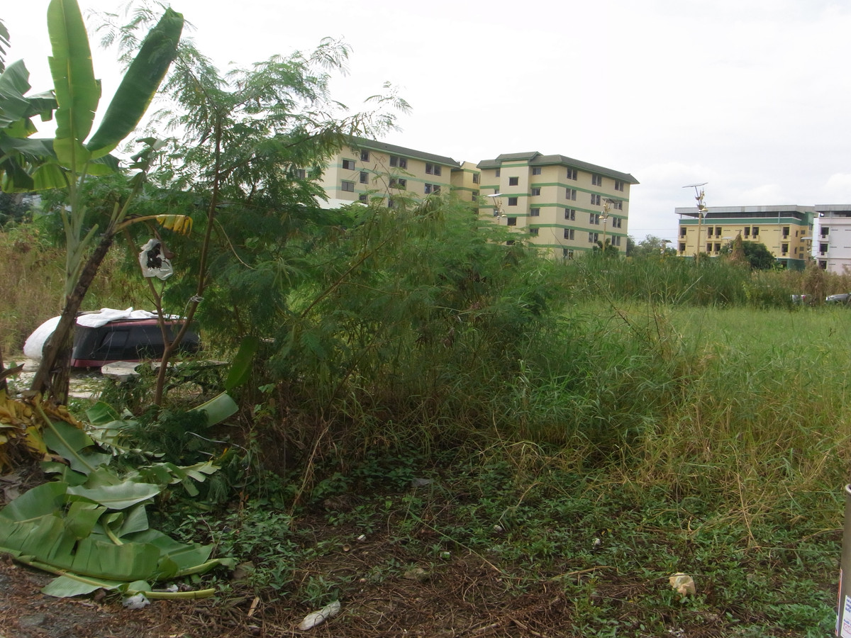Land 100 square wah, Soi King Kaew 64, can be used as a warehouse or accommodation. – รูปที่ 4