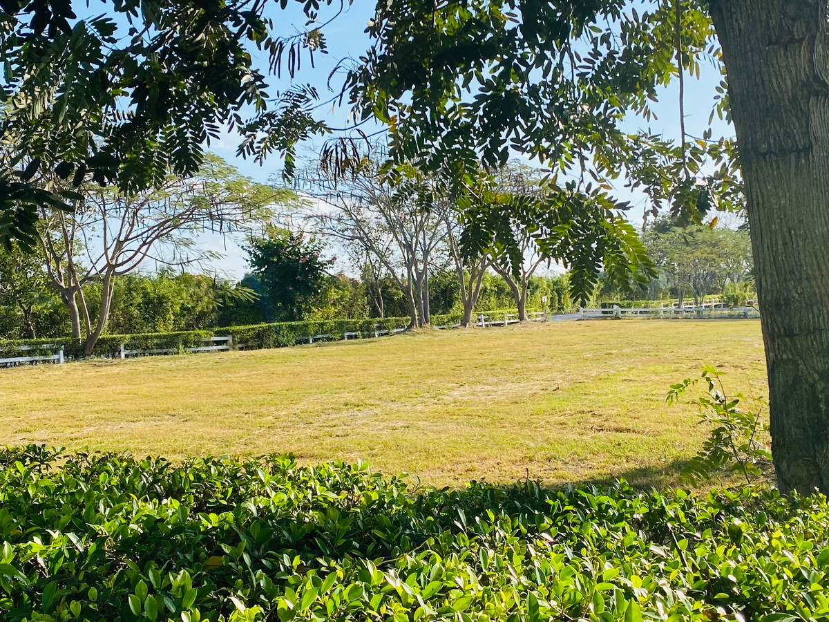 ขายด่วน! ที่ดินผืนงาม ทำเลทองใกล้ Ukiyo Khaoyai 💎 – รูปที่ 4