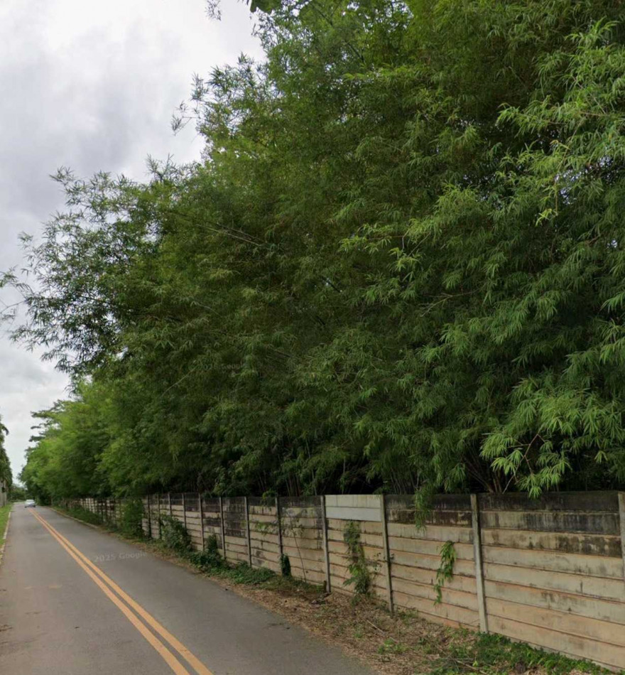For sale: 72 rai 20 square wah of land with a forest, fruit orchard, and private residence. – รูปที่ 3