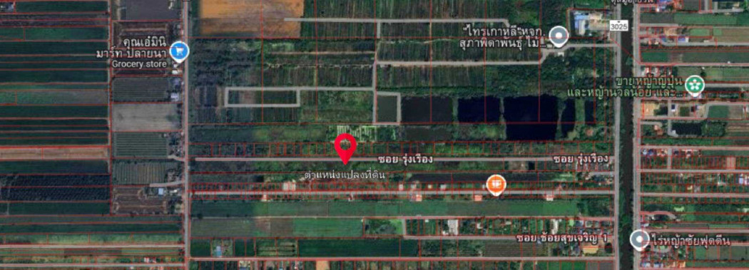 ขาย ที่ดิน คลอง12 หนองเสือ 20 ไร่ ใกล้ เทศบาลสนั่นรักษ์