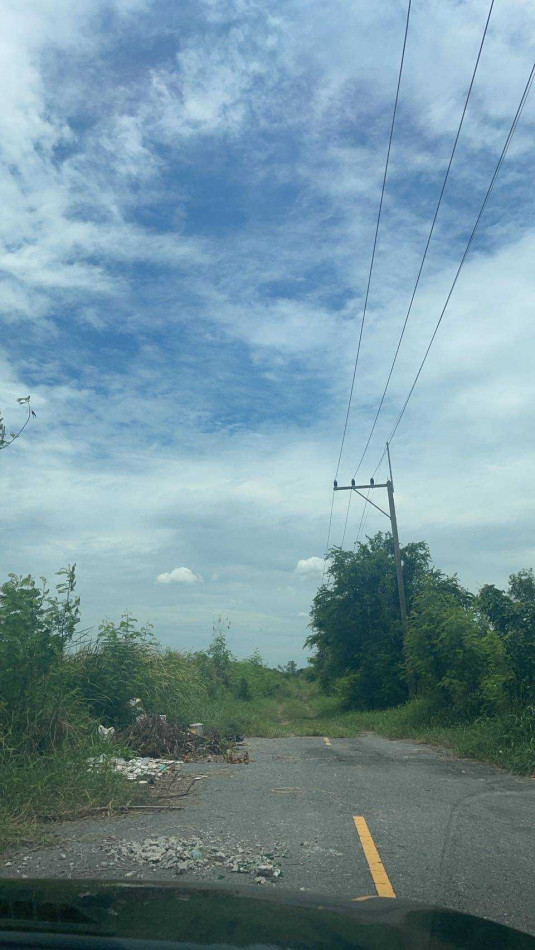 ขาย ที่ดิน คลอง12 หนองเสือ 20 ไร่ ใกล้ เทศบาลสนั่นรักษ์ – รูปที่ 3