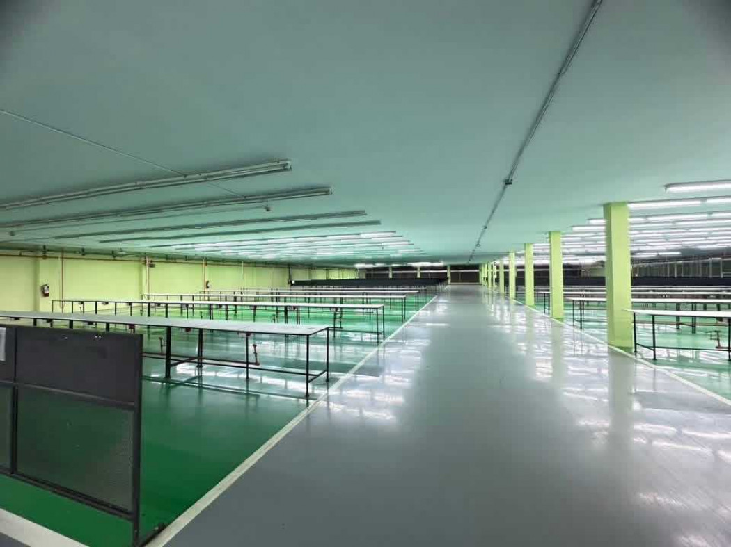 Premium factory for sale, international standards – Sam Phran, 16,400 sq m, 19 rai 3 ngan 51 sq wah, purple zoning. – รูปที่ 2