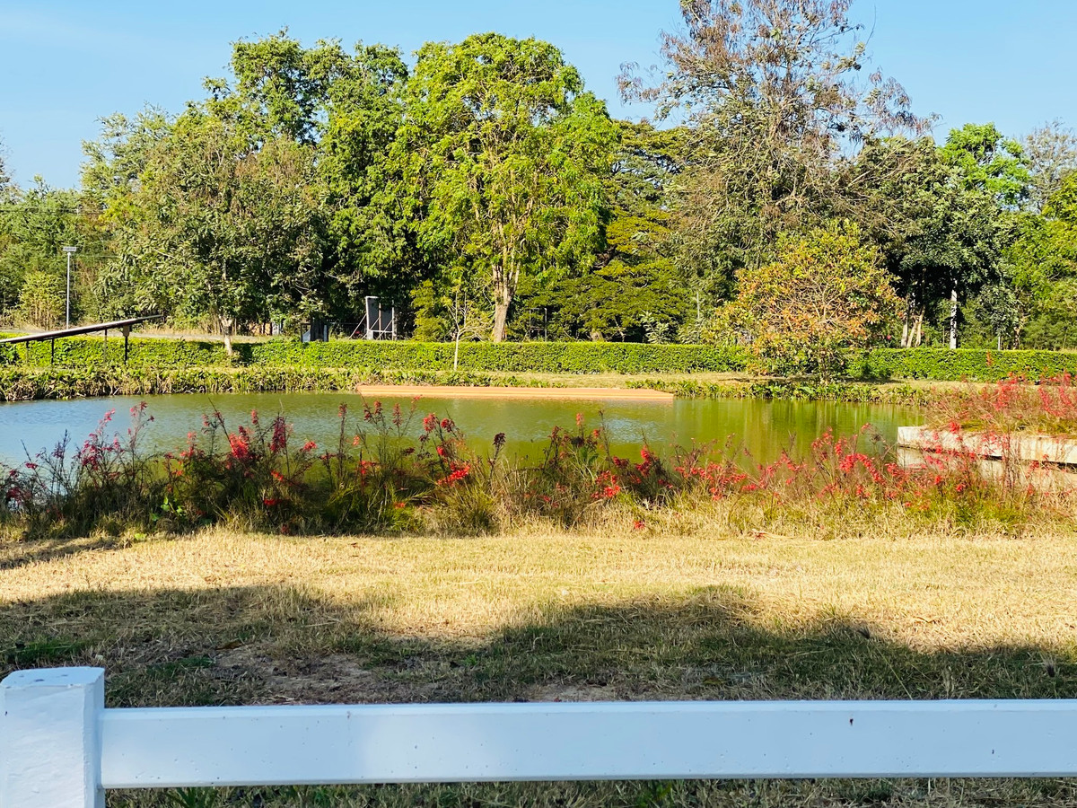 ขายด่วน! ที่ดินผืนงาม ทำเลทองใกล้ Ukiyo Khaoyai 💎 – รูปที่ 3