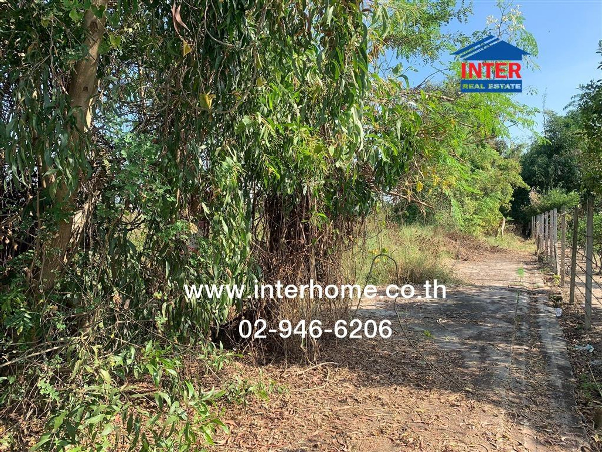 ที่ดินเปล่า 458 ตร.ว. ที่ดินเปล่า ซอยราษฎร์อุทิศ10 (ซอย เพ็ชรรัตน์) ใกล้สนามกอล์ฟวินด์เซอร์ปาร์ค แอนด์ กอล์ฟคลับ เขตมีนบุรี กรุงเทพมหานคร – รูปที่ 4