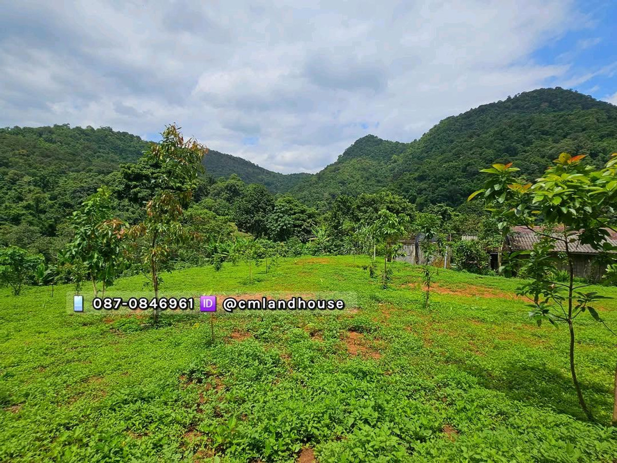 ที่ดินกลางดอย โฉนดครุฑแดง เกือบ 3 ไร่ ติดถนนทางหลวงแผ่นดิน อ.หางดง เชียงใหม่ ขายเท่าประเมินราชการ – รูปที่ 4