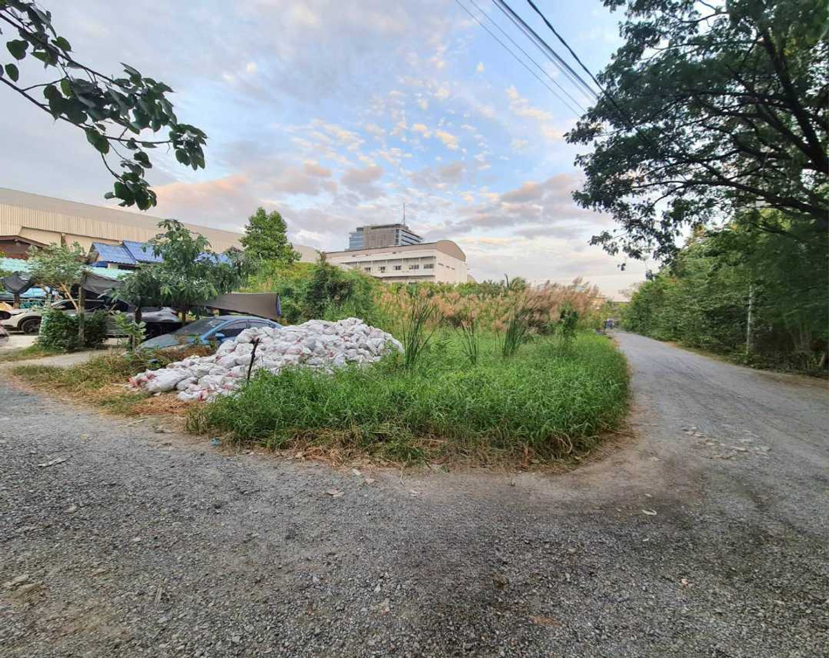 Prime Corner Land Plot for Sale: 244 Sq. Wah, Bangna-Trad KM.6, Bang Phli – รูปที่ 2