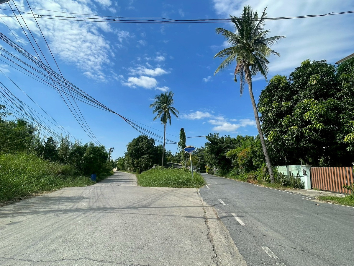 Large plot of land for sale, 16-1-40 rai, Muang Pathum Thani, potential location, near the main road, near the Chao Phraya River. – รูปที่ 3