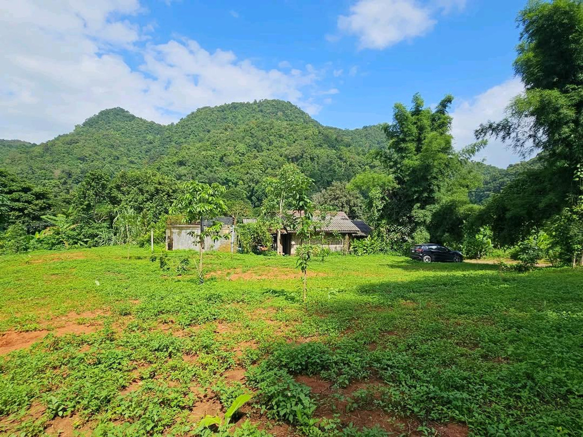ที่ดินกลางดอย โฉนดครุฑแดง เกือบ 3 ไร่ ติดถนนทางหลวงแผ่นดิน อ.หางดง เชียงใหม่ ขายเท่าประเมินราชการ – รูปที่ 3