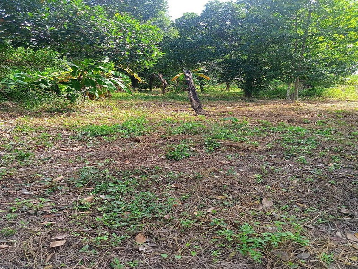 Land for sale in Sriracha, Surasak area, 200 square wah, next to a public road, in a community zone. Land for sale in Sriracha, Surasak area, 200 square wah, next to a public road, in a community zone.