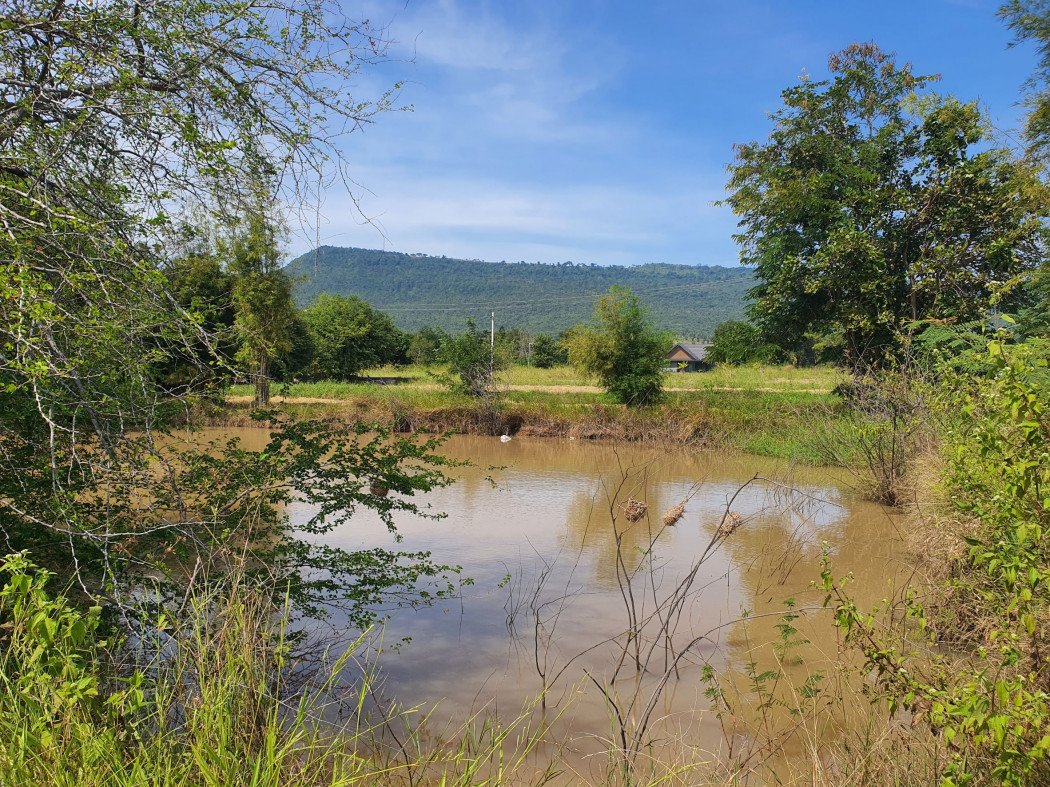 ขาย ที่ดิน เขาใหญ่ ต.​วังไทร​ อ.ปากช่อง 10 ไร่ ​แค่เห็นวิว ก็มีความสุขแล้ว​ – รูปที่ 3