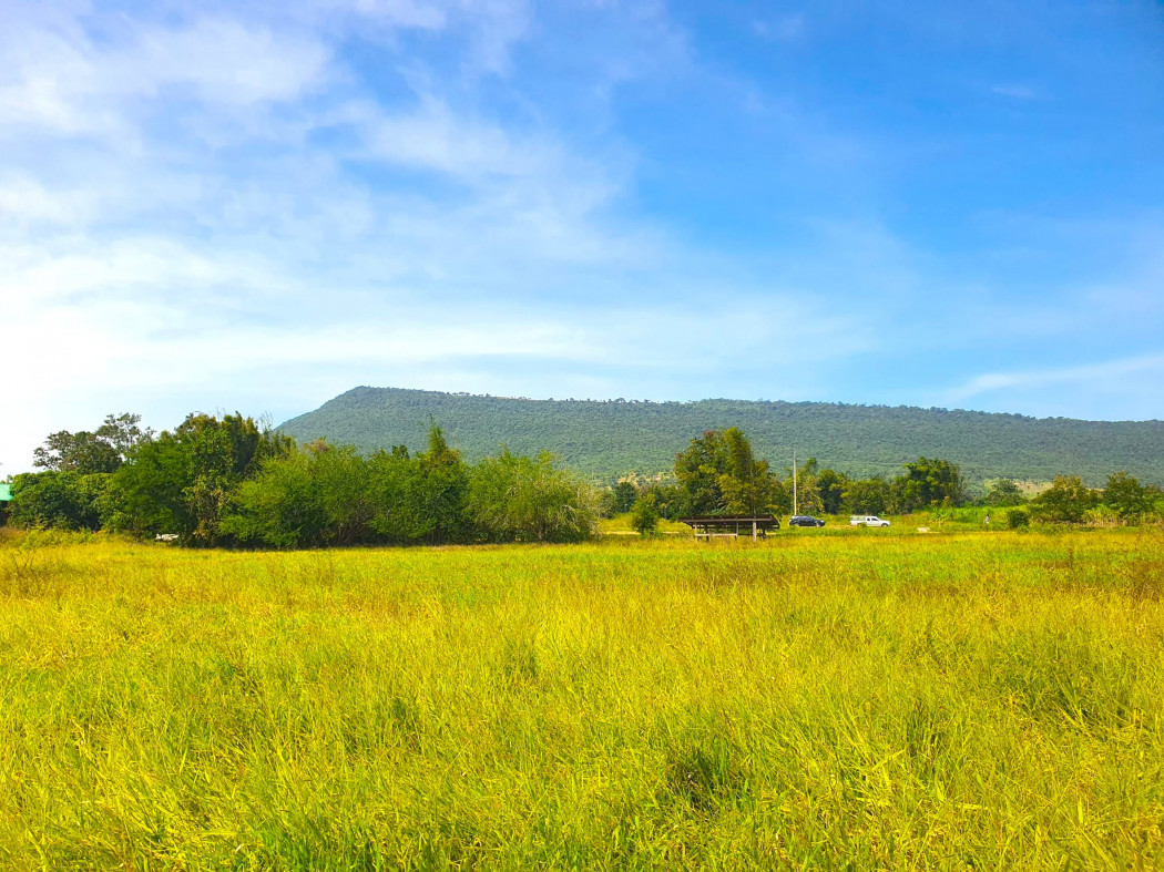 ขาย ที่ดิน เขาใหญ่ ต.​วังไทร​ อ.ปากช่อง 10 ไร่ ​แค่เห็นวิว ก็มีความสุขแล้ว​ – รูปที่ 4