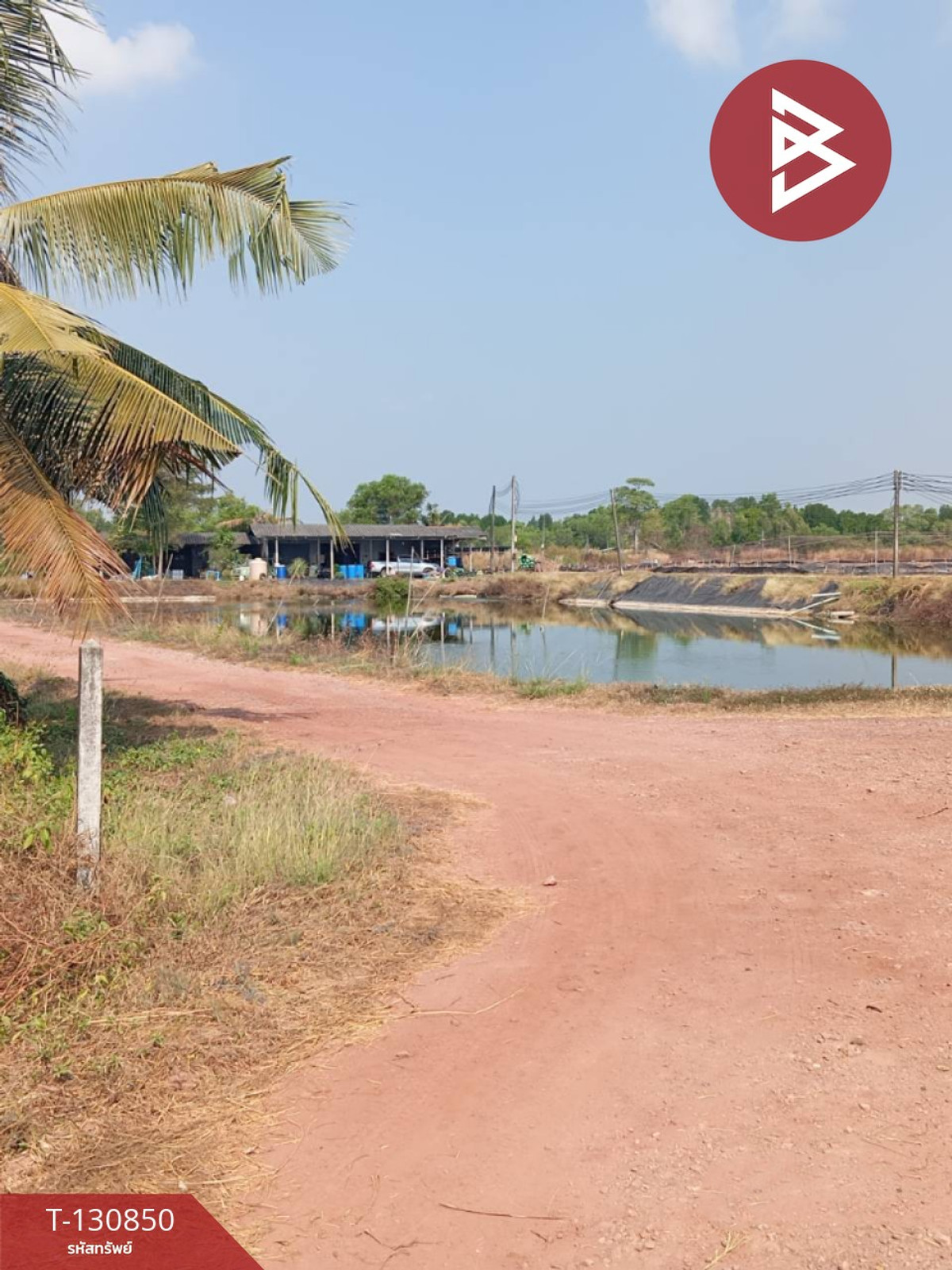 ขายที่ดินบ่อเลี้ยงกุ้ง เนื้อที่ 52 ไร่ 1 งาน 13 ตร.วา นายายอาม จันทบุรี – รูปที่ 2